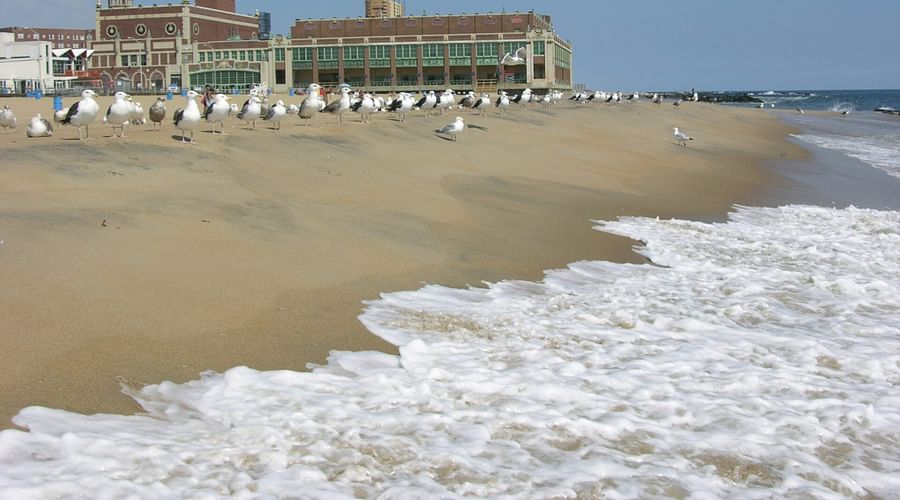 Jersey Shore Locations: Exploring the Famous Boardwalk and Beyond