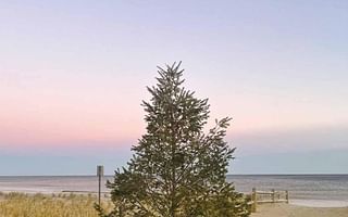 What Makes the New Jersey Shore So Intriguing?
